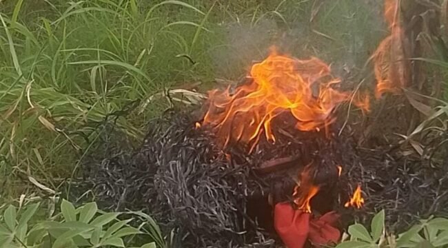 Poto; Drone yang di bakar warga 