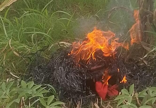 
					Poto; Drone yang di bakar warga 
