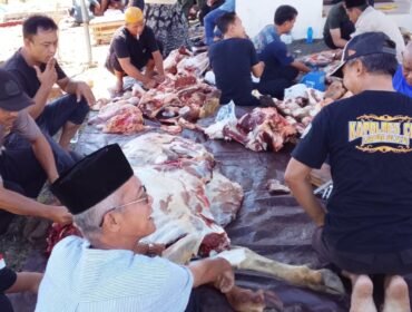 Poto: Hewan kurban dari Polres Lamsel yang akan di bagikan untuk Masyarakat (Uyung)