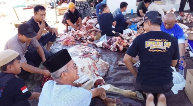 Poto: Hewan kurban dari Polres Lamsel yang akan di bagikan untuk Masyarakat (Uyung)