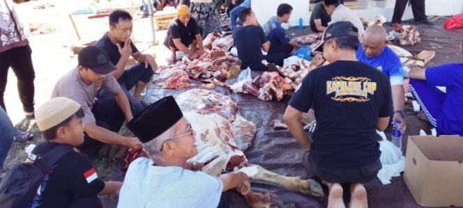 
					Poto: Hewan kurban dari Polres Lamsel yang akan di bagikan untuk Masyarakat (Uyung)